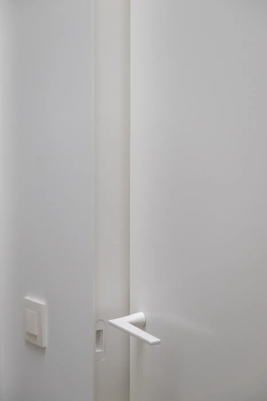 Schilderklare binnendeur, tint afgestemd op de wand